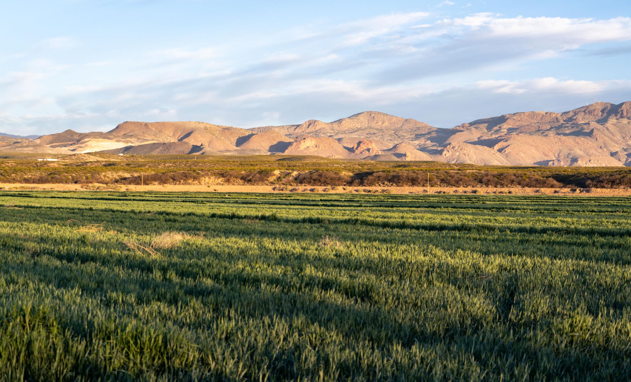 Mercer Farm Chas S. Middleton